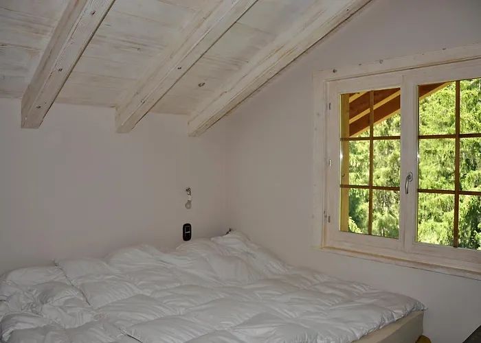 Zeppelin Appartement Chateau-d'Oex